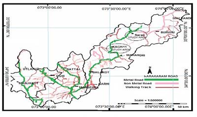 Exploration of species diversity and vegetation pattern in temperate conifer forests along altitudinal gradients in the Western Himalayas